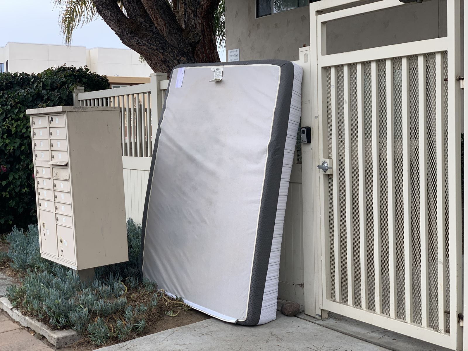 Mattress at a gate ready for Fred's mattress hauling crew