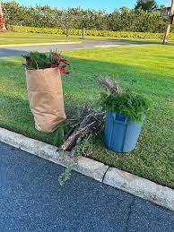 Bagged clippings, a can, and bundled branches at the curb for yard waste removal